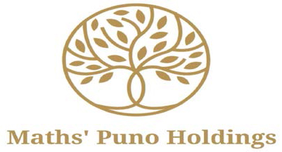 Maths Puno Holdings